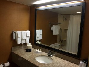 Lots of counter space with a huge mirror!