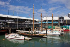 Plenty of people have their boats tied up in Downtown Auckland!
