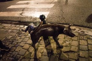 Just don't run over this dog, it will cause a national stir