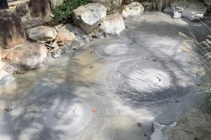 Beppu Jigoku Tour: Oiishibozu Onsen