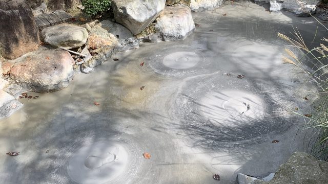 Beppu Jigoku Tour: Oiishibozu Onsen