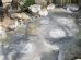 Beppu Jigoku Tour: Oiishibozu Onsen
