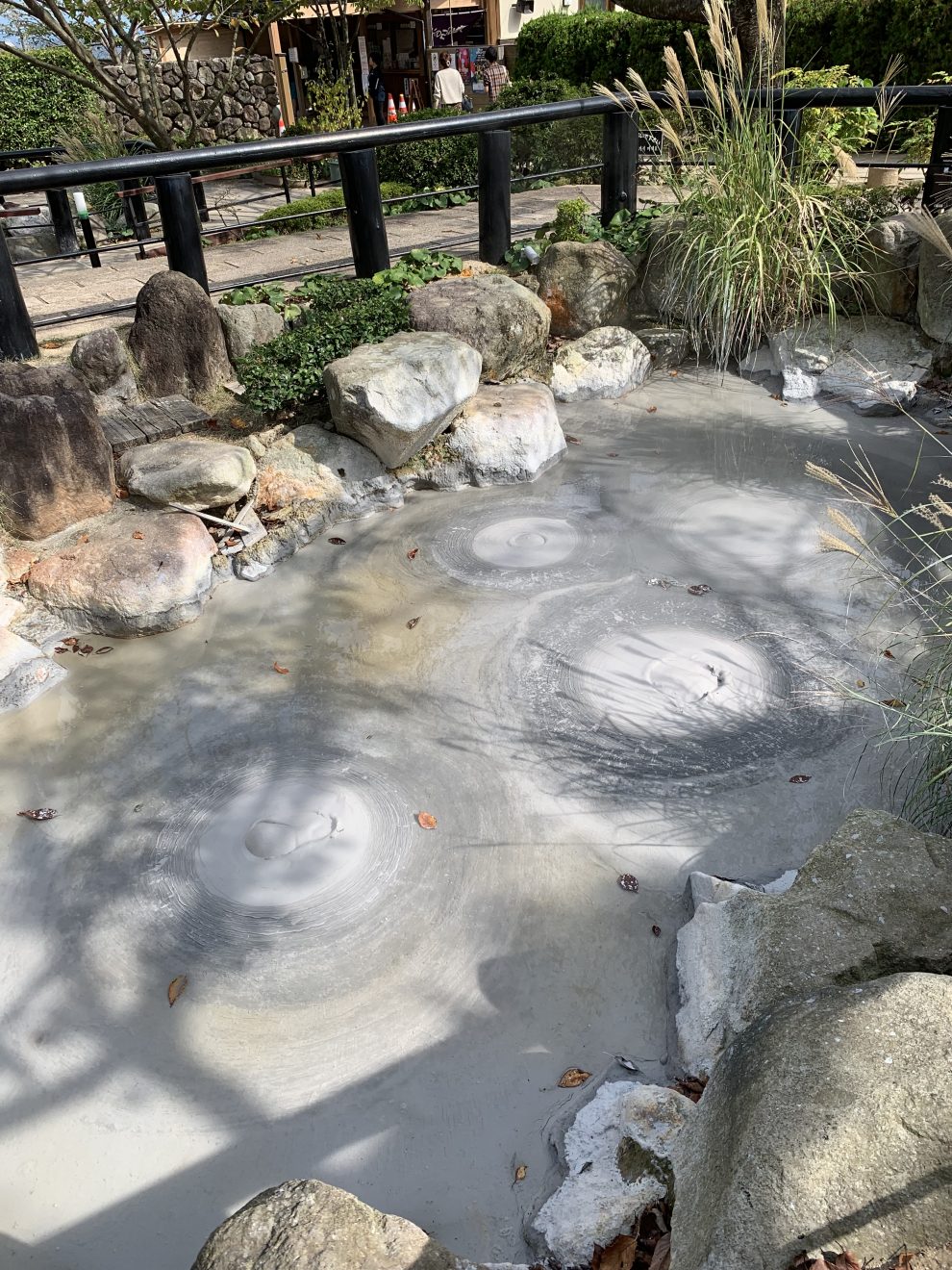 Beppu Jigoku Tour: Oiishibozu Onsen