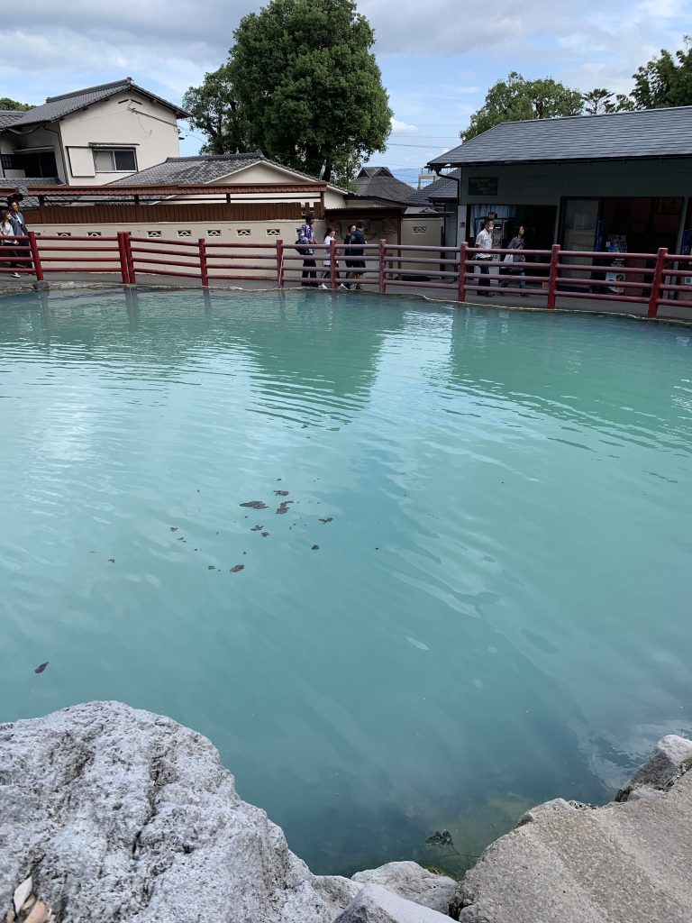 Beppu Jigoku Tour: Shiraike Jigoku